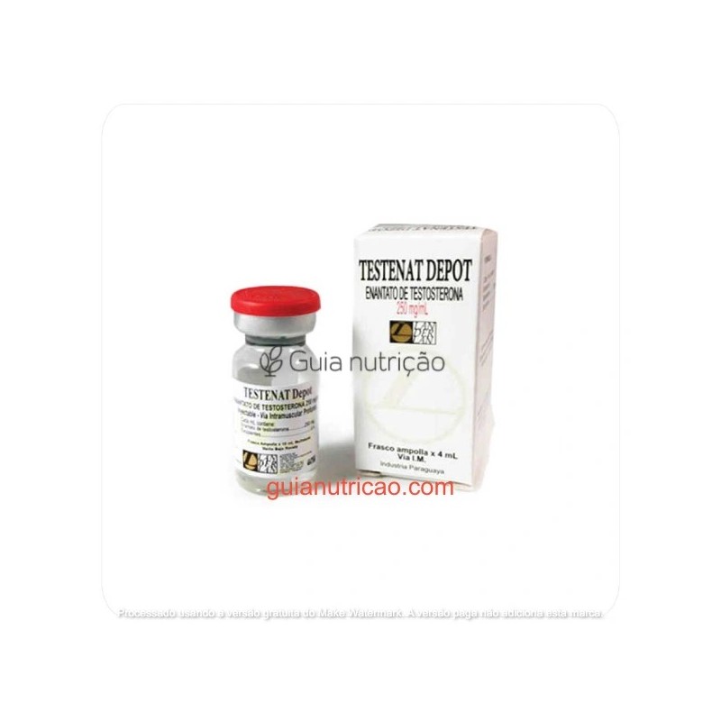Testenat (Enantato de Testosterona) 4ml 250mg/ml - landerlan