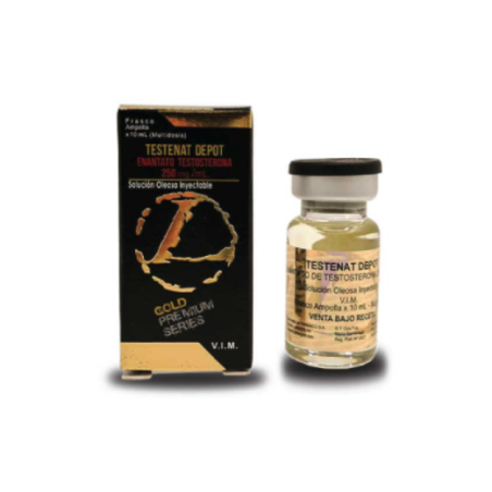 Testenat 10ml 250mg/ml landerlan ouro