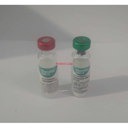 Chorulon HCG 5000 UI