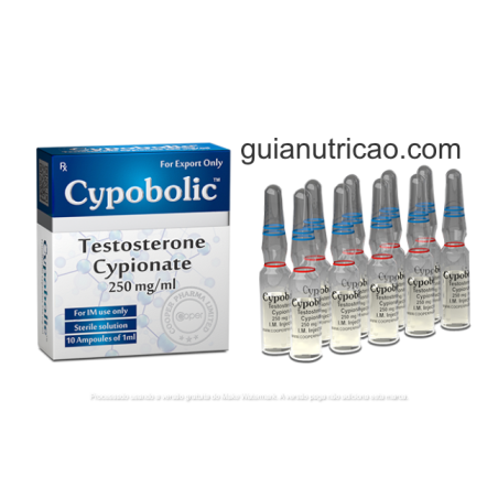 Cypobolic (Cipionato de testosterona) 250mg/ml Cooper Pharma – Guia Nutrição